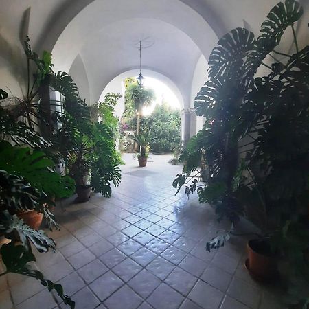 La Casa Delle Camelie Hotel เมตา ภายนอก รูปภาพ