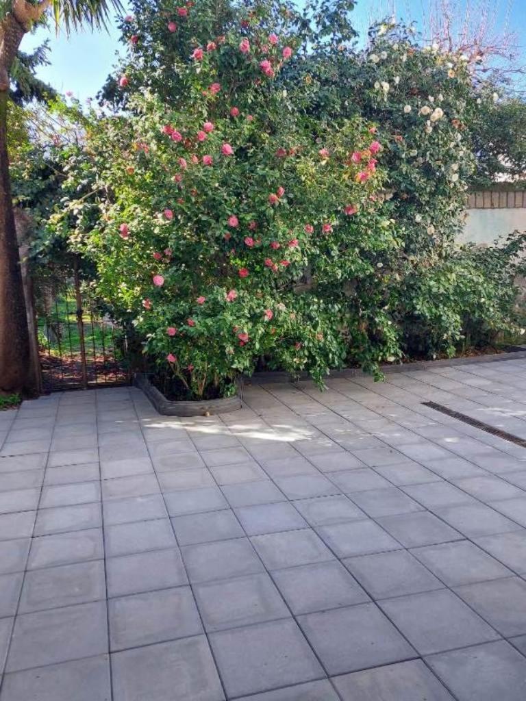 La Casa Delle Camelie Hotel เมตา ภายนอก รูปภาพ